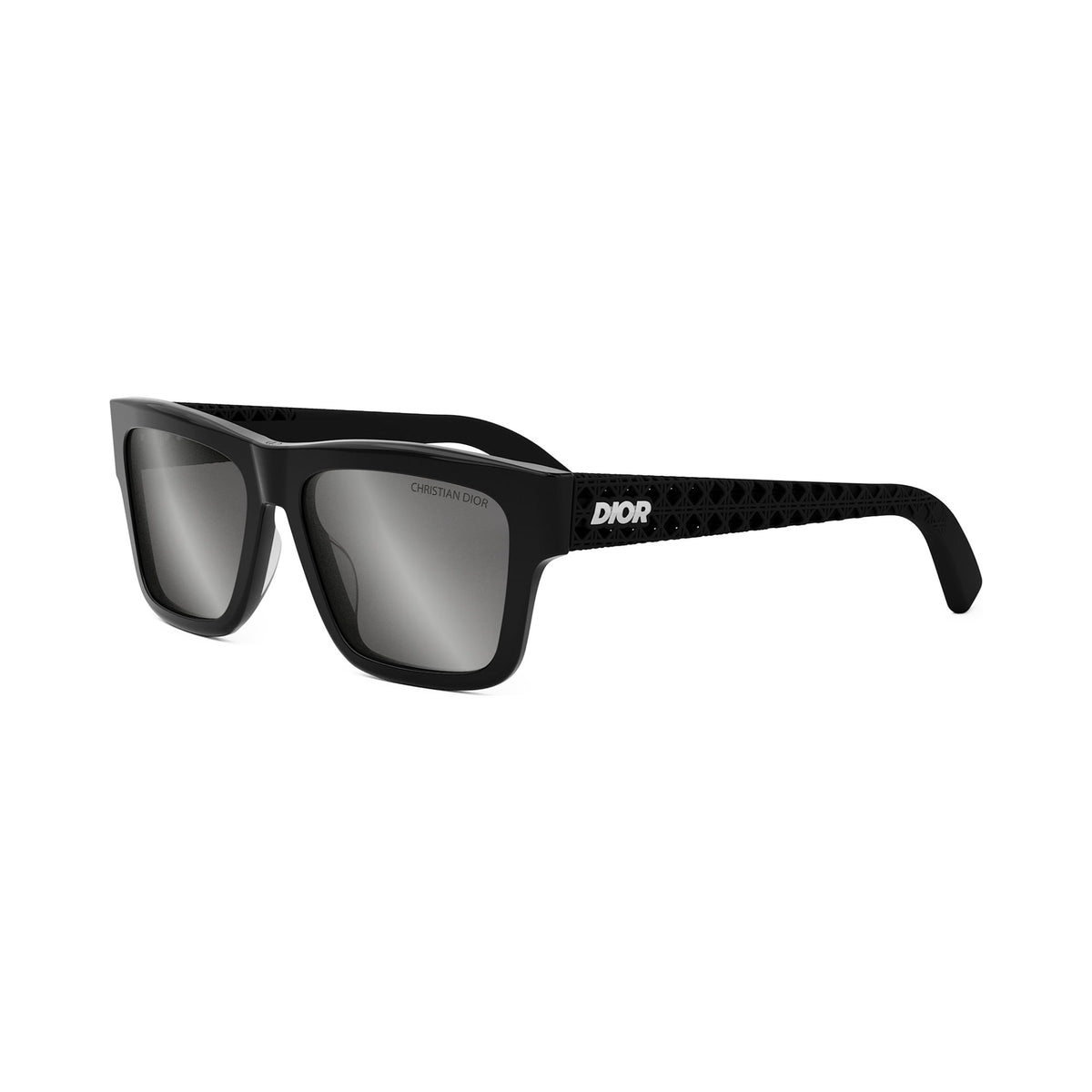Dior DIOR3D S2I 01C vista 2