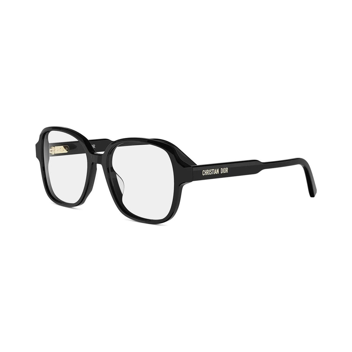 DIORPRISMEO S6I 1000