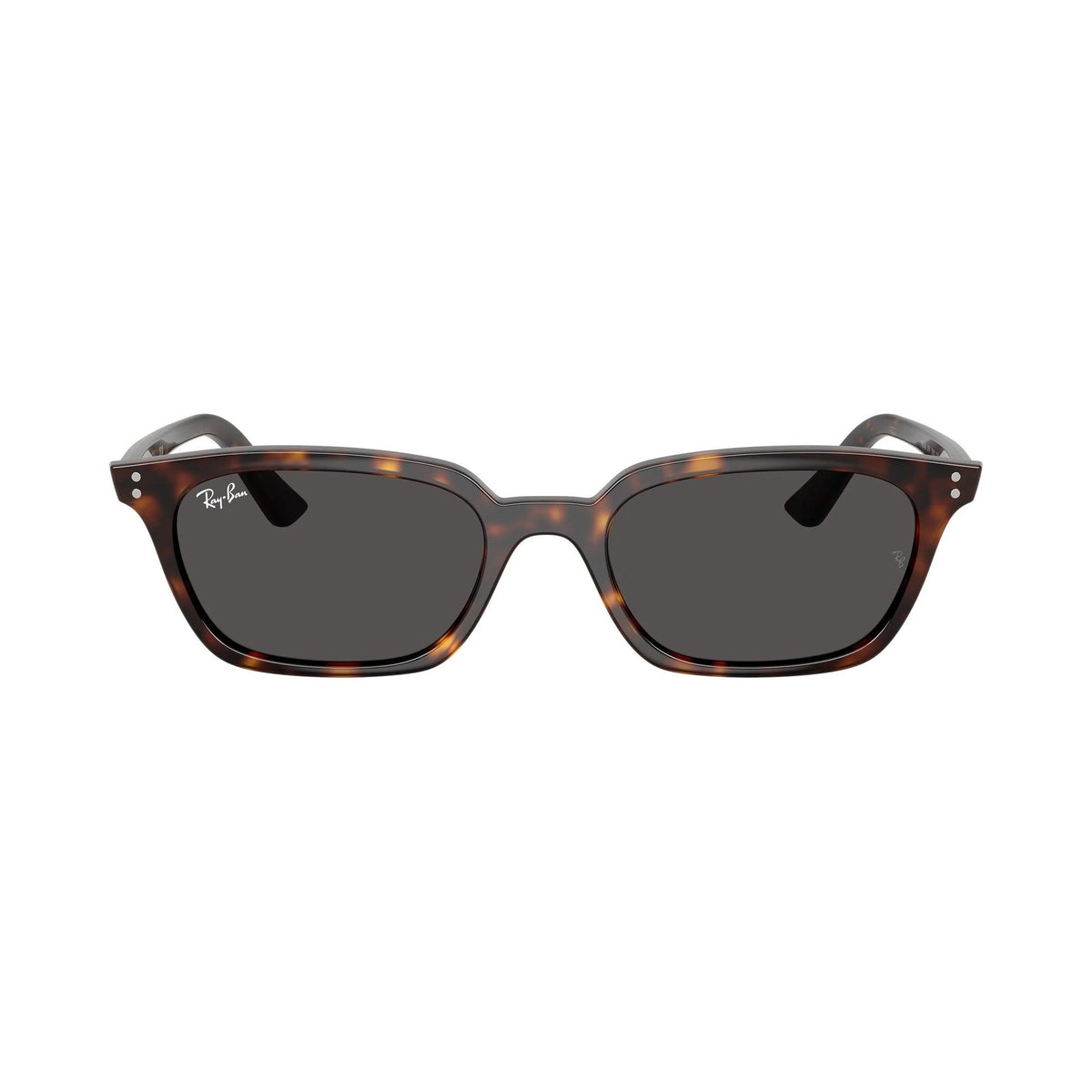 Ray-Ban 4456 SONNENBRILLE | Unisex-Sonnenbrille