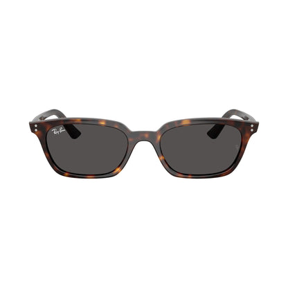 Ray-Ban 4456 SONNENBRILLE | Unisex-Sonnenbrille