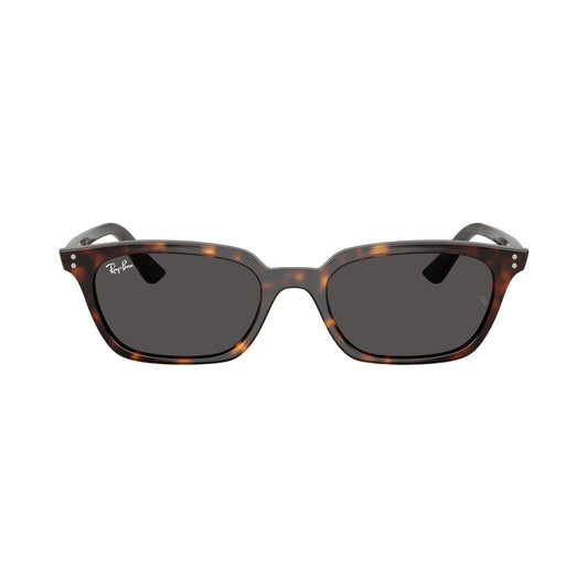 Ray-Ban 4456 SOLE | Occhiali da sole unisex