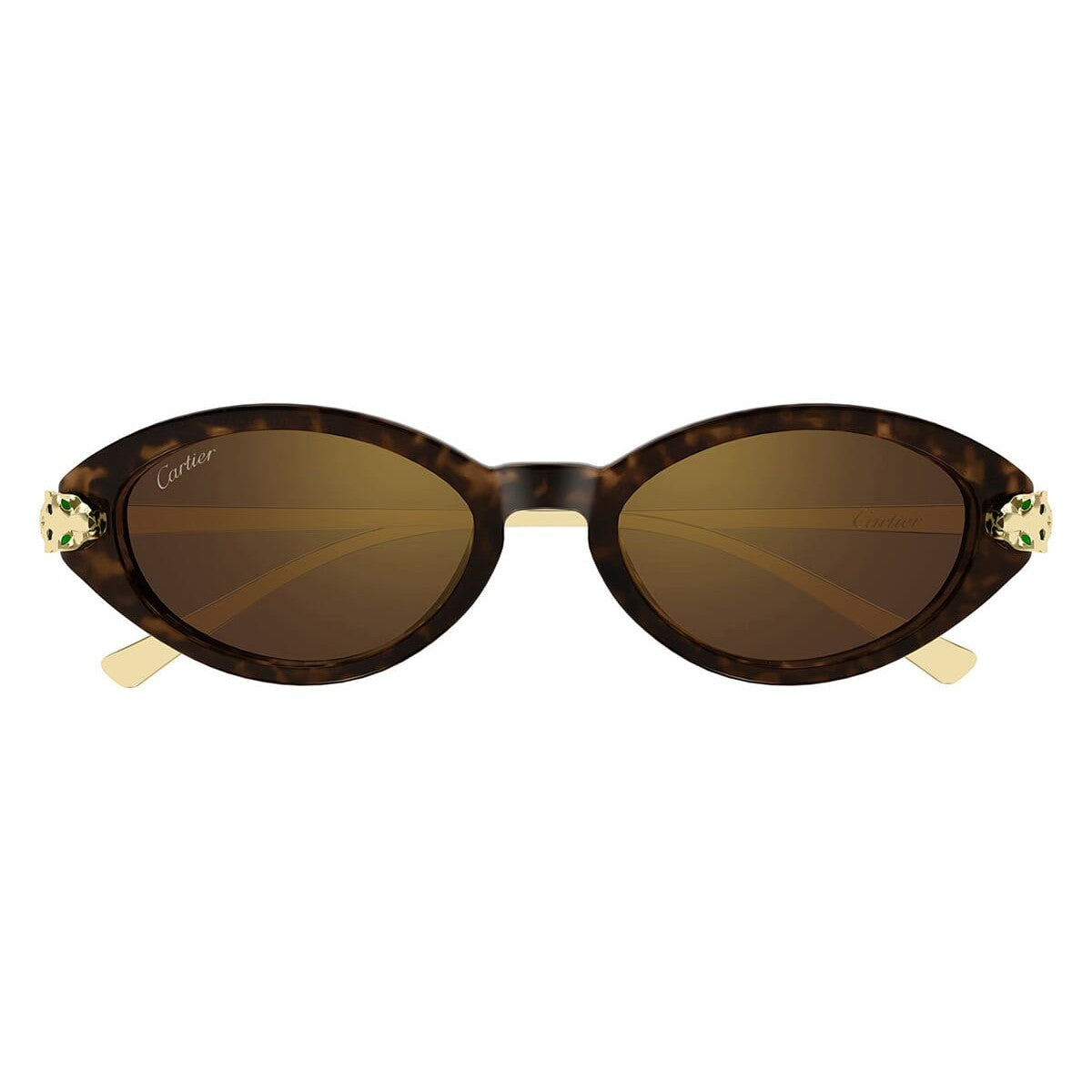 CT0634S 002 laterale