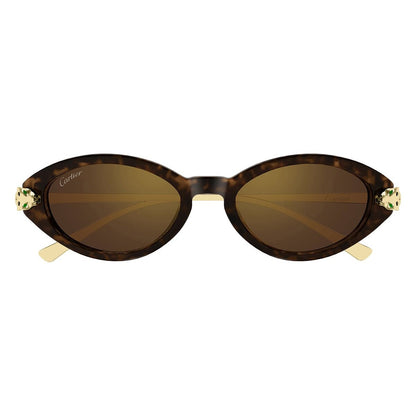 CT0634S 002 laterale