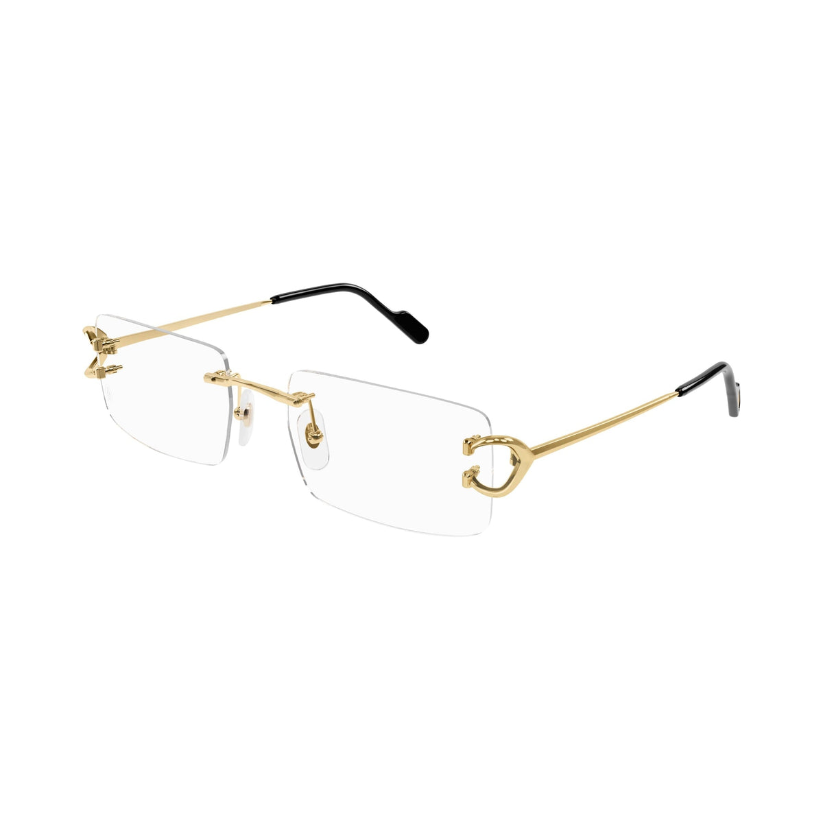 Cartier CT0488O vista 2