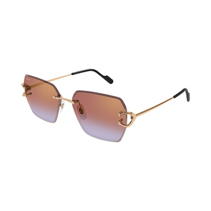 Cartier CT0466S vista 2