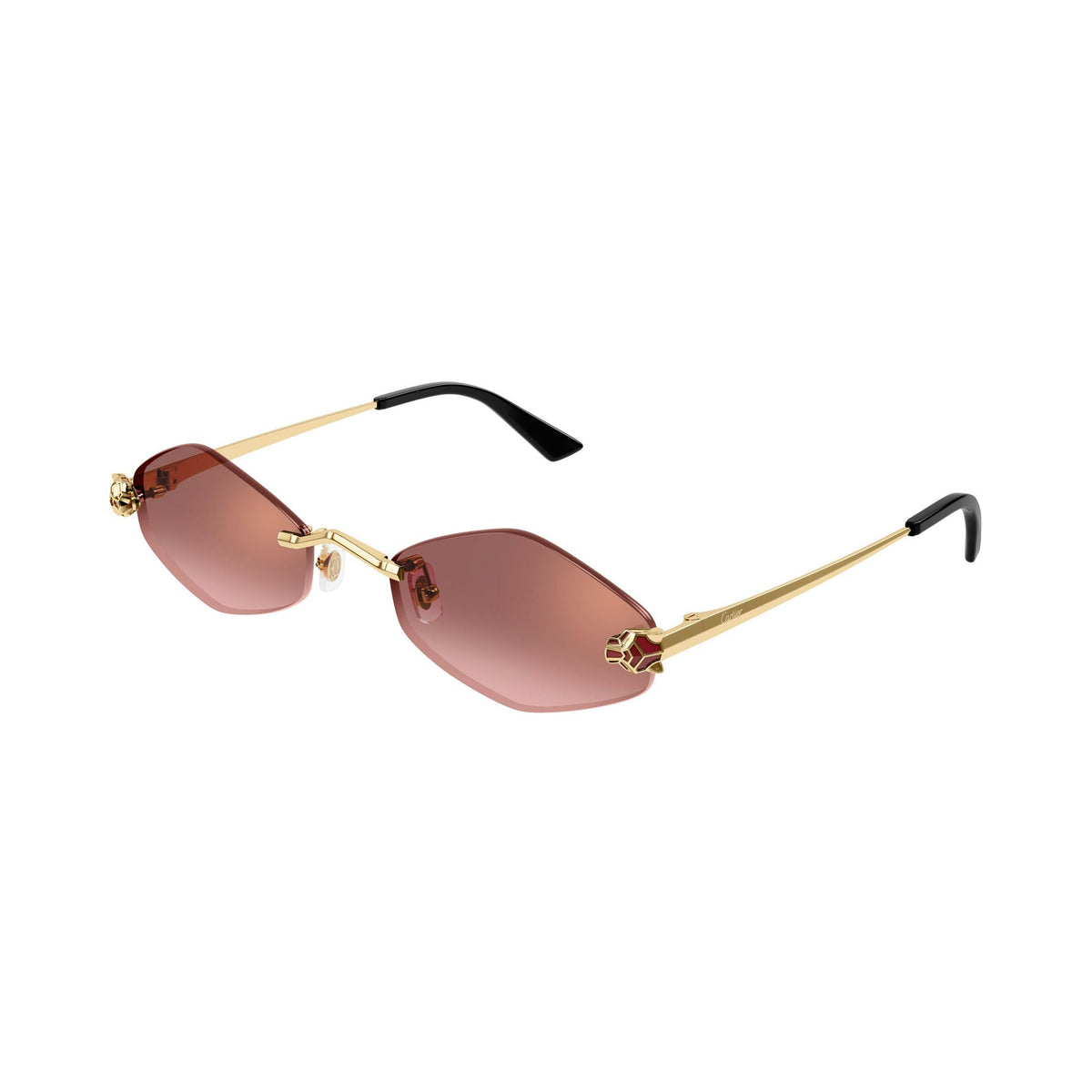 Cartier CT0433S vista 3