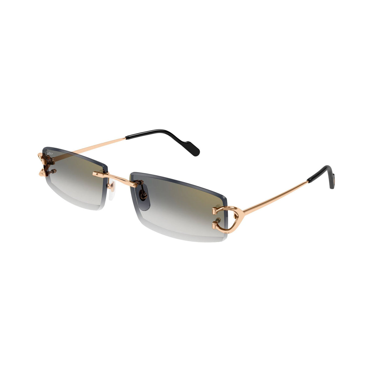 Cartier CT0465S vista 2