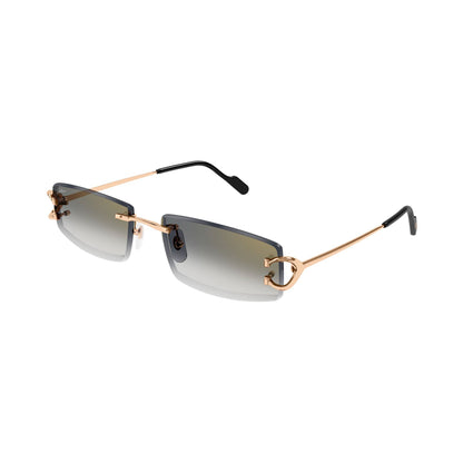 Cartier CT0465S vista 2