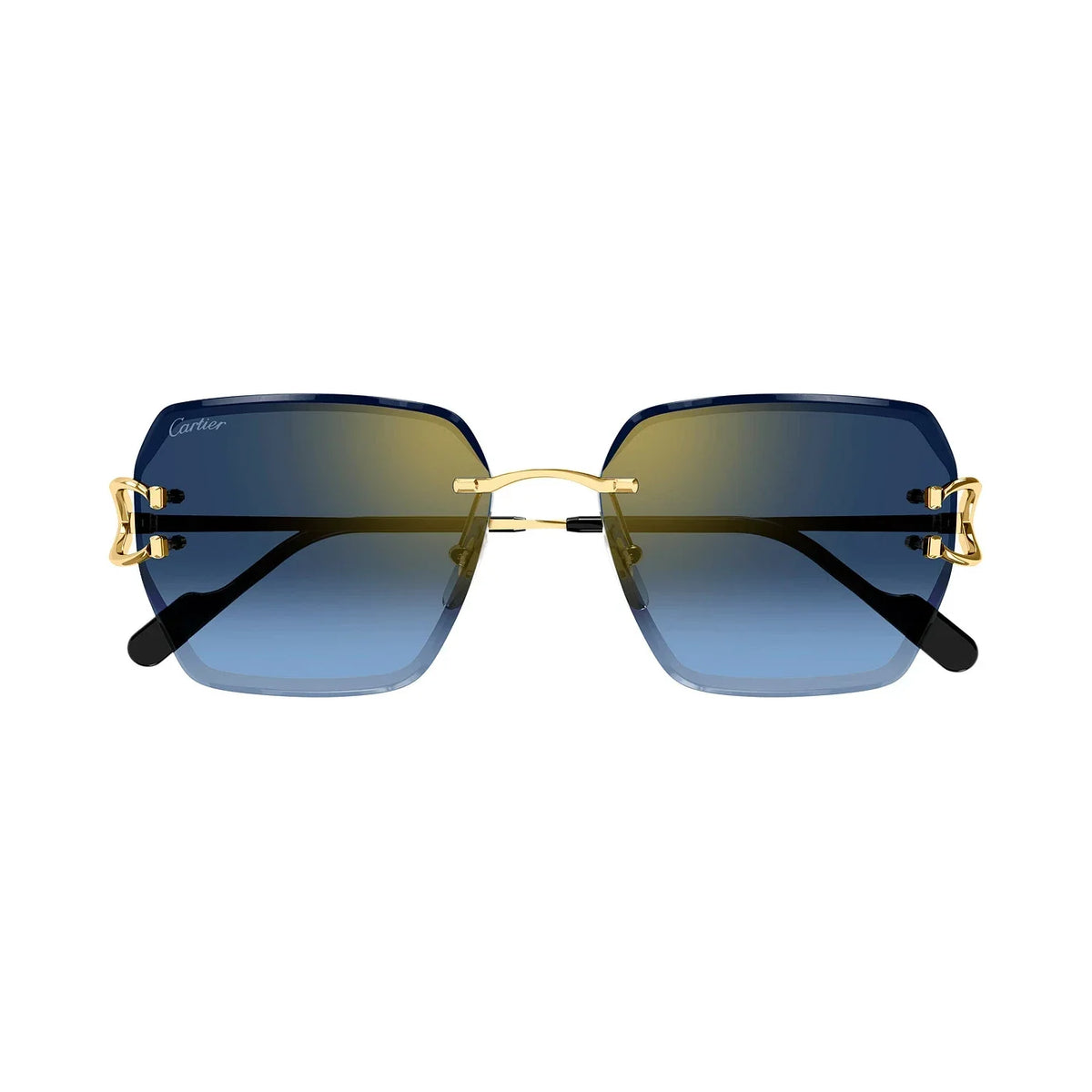 Cartier CT0466S vista 2