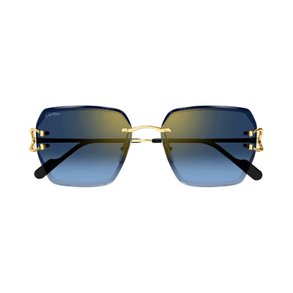 Cartier CT0466S vista 2