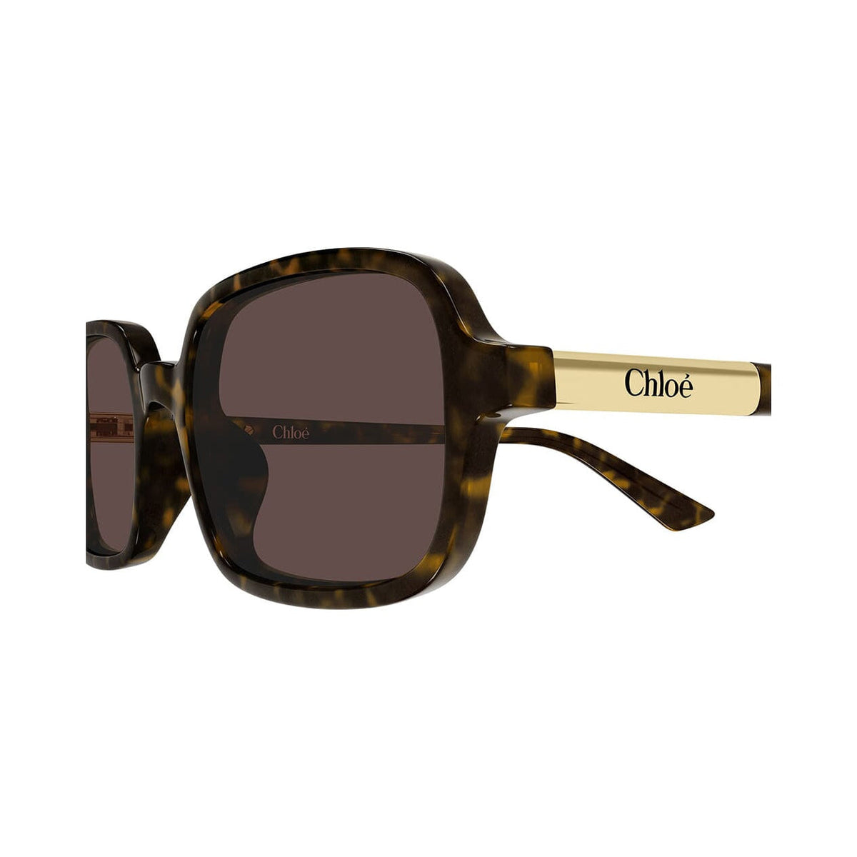 Chloé CH0363S vista 3