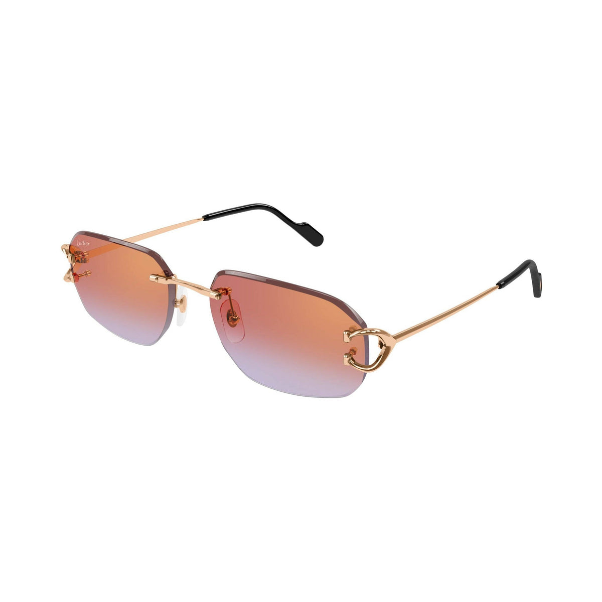 Cartier CT0468S vista 2