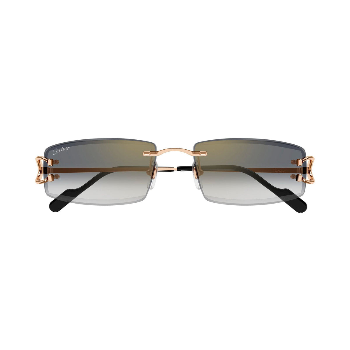 Cartier CT0465S vista 1