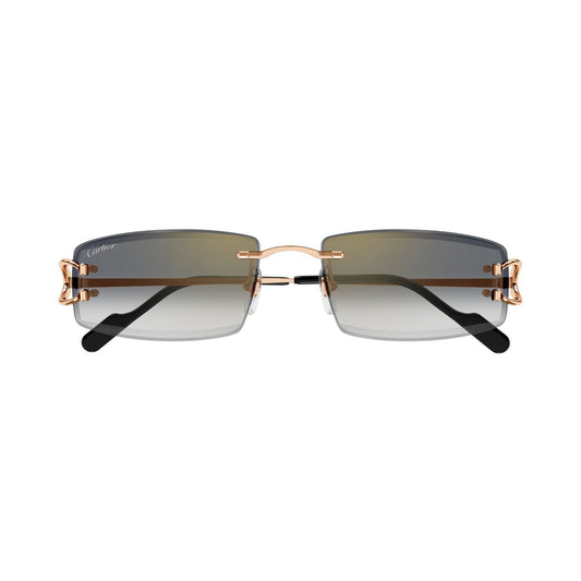 Cartier CT0465S vista 1