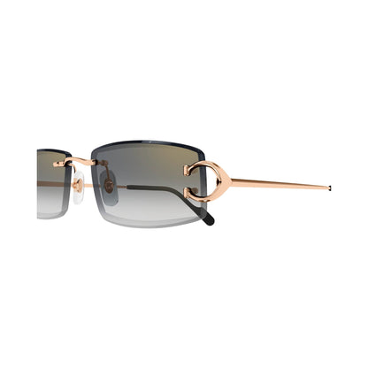 Cartier CT0465S vista 3