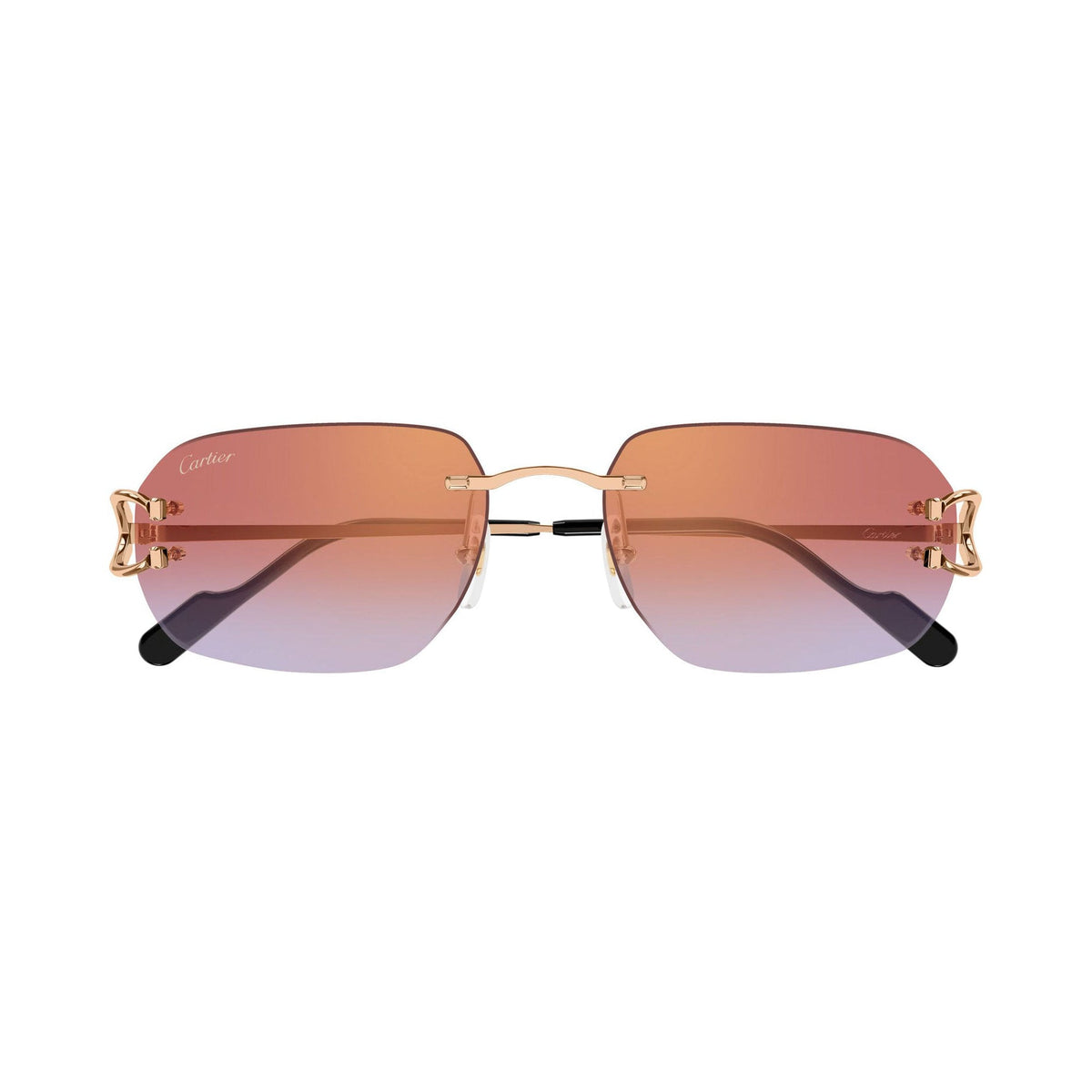 Cartier CT0468S vista 1
