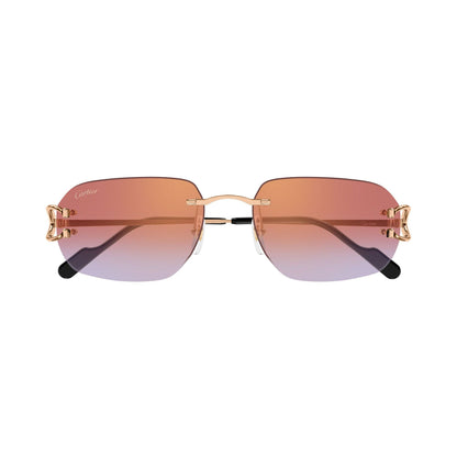 Cartier CT0468S vista 1