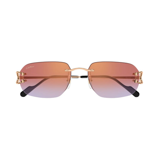 Cartier CT0468S vista 1