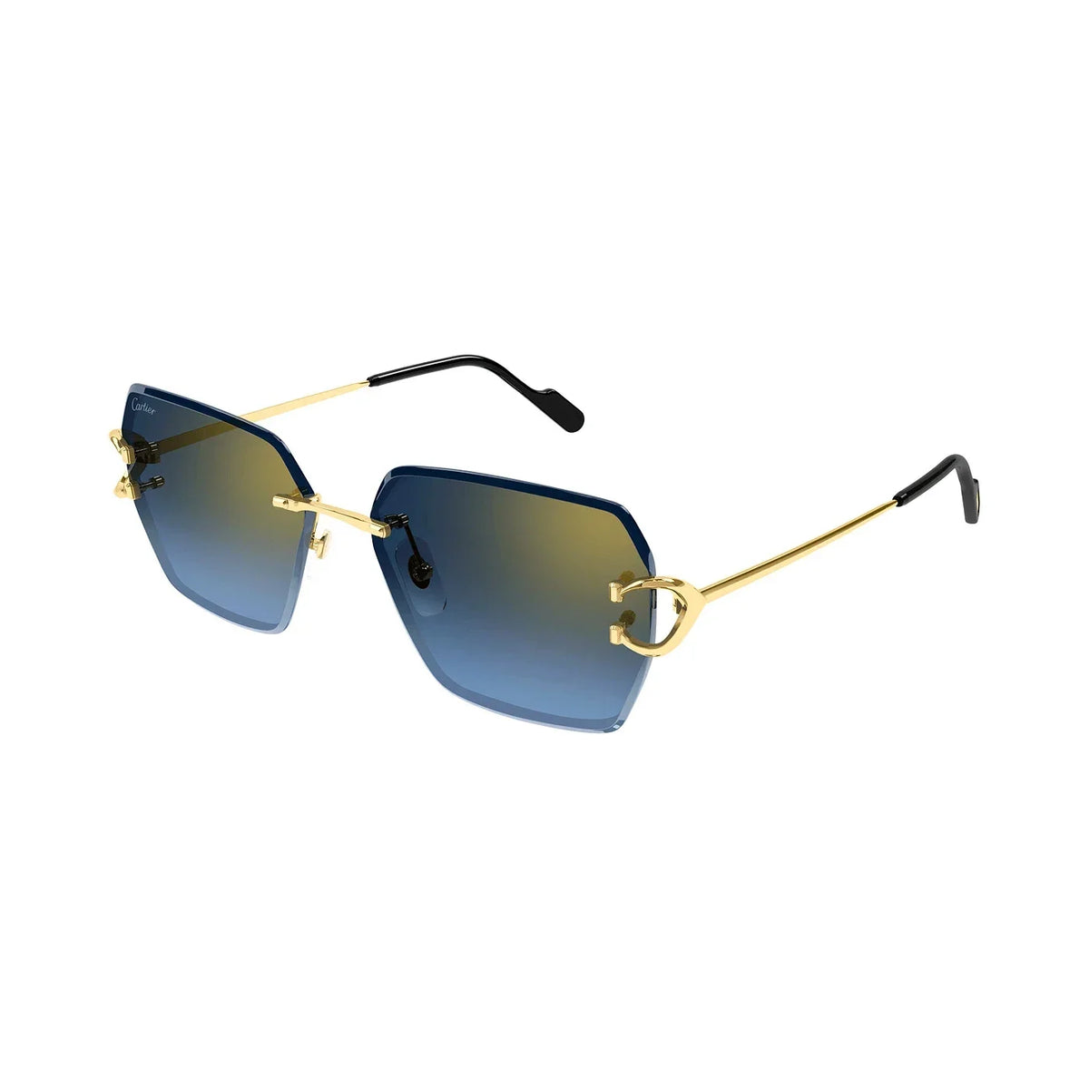 Cartier CT0466S vista 3