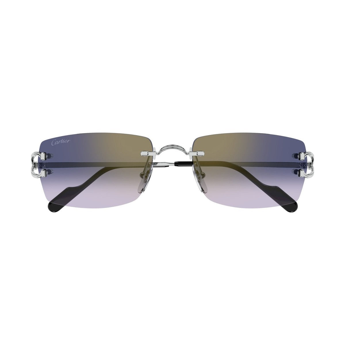 Cartier CT0550S | Occhiali da sole unisex