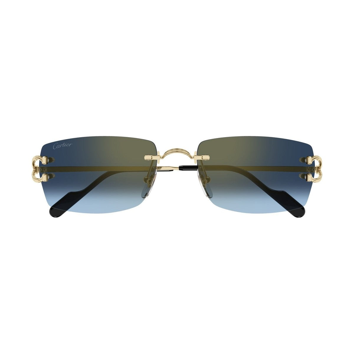 Cartier CT0550S | Occhiali da sole unisex