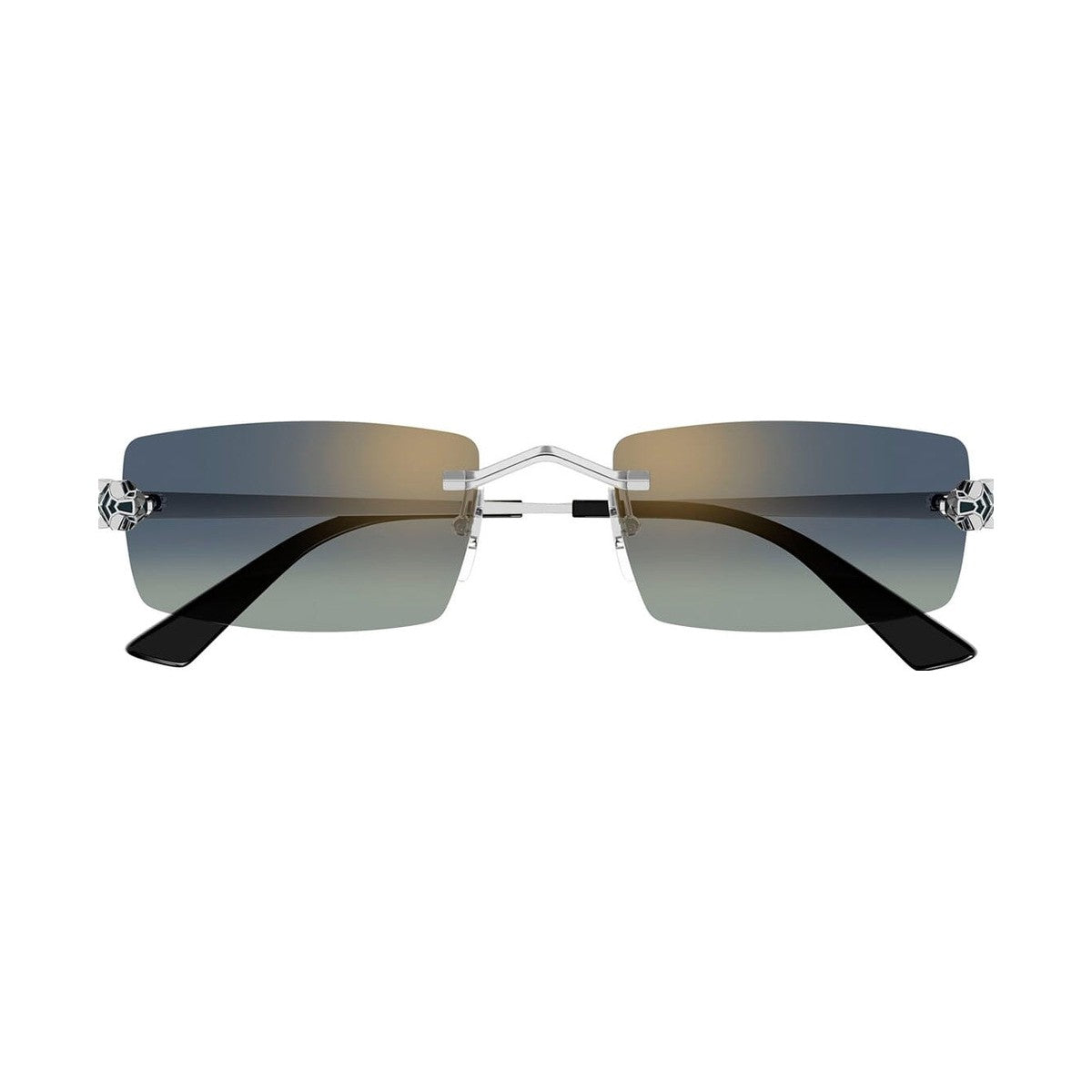 Cartier CT0598S | Occhiali da sole unisex