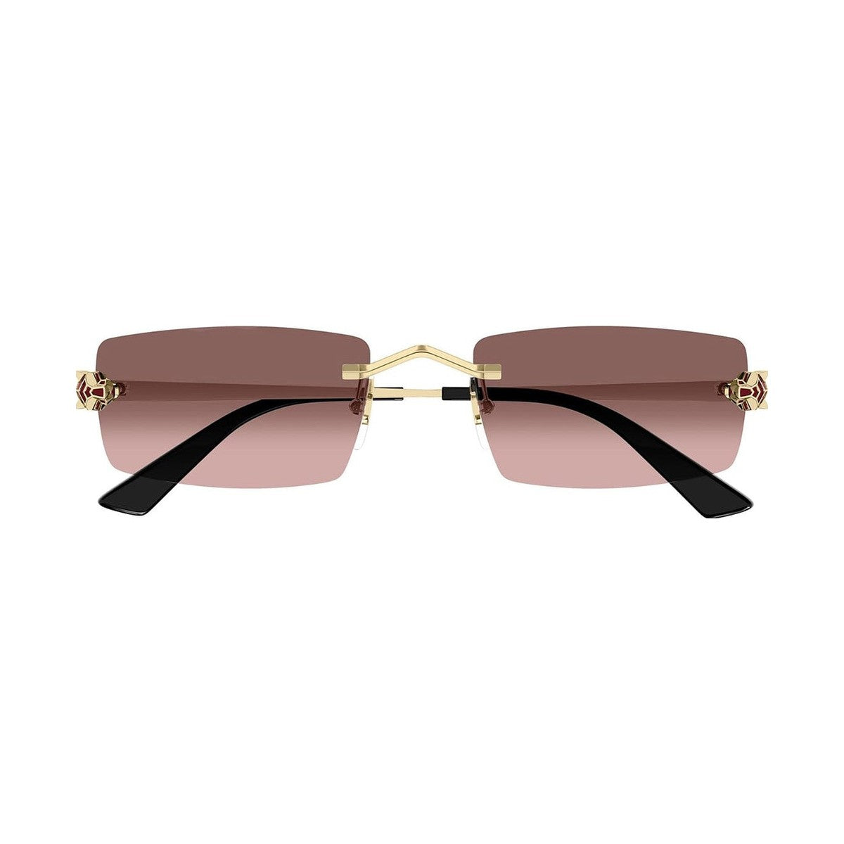Cartier CT0598S | Occhiali da sole unisex