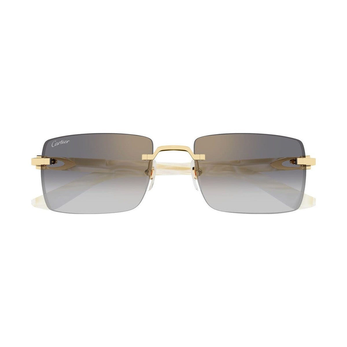 Cartier CT0579S | Occhiali da sole unisex