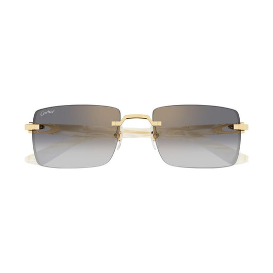 Cartier CT0579S | Occhiali da sole unisex